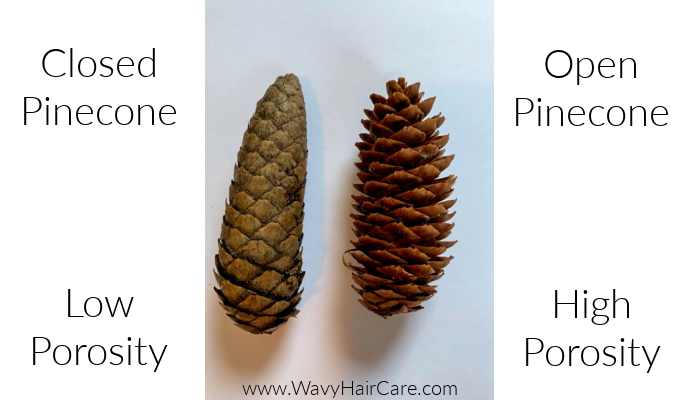 Hair porosity and pinecone analogy
